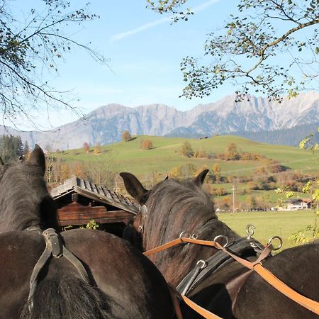 Oberdeutinghof Saalfelden Exterior foto